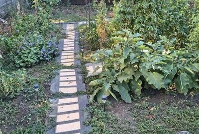 Casa in Popesti-Leordeni curte 334 mp Soseaua Oltenitei - 5