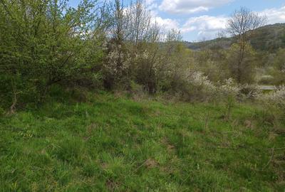 Spațiu comercial, în Central - 4