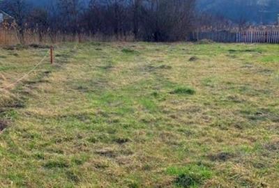 Teren intravilan Piatra Neamt Teren intravilan Piatra Neamt - 5