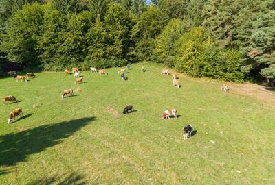 Investitie premium in turism-teren 6800mp langa lacuri Vulcan Brasov - 17