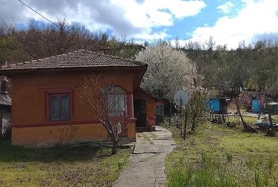 Casă cu Teren 2022 Mp în Hotarele - 4