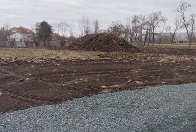 Ghiroda teren industrial 4310 mp - 3