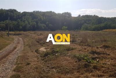 Teren Construcții intravilan de 2100 mp, în Periferie - 3