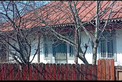 Casă individuală cu 5 camere în Bărăganul - 3