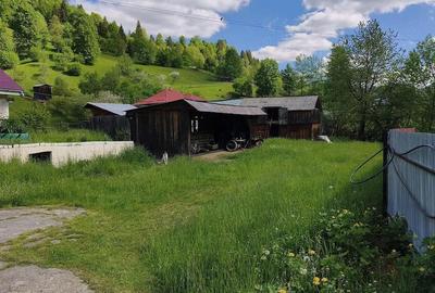 Casă cu Teren 3344 Mp în Dreptu - 3