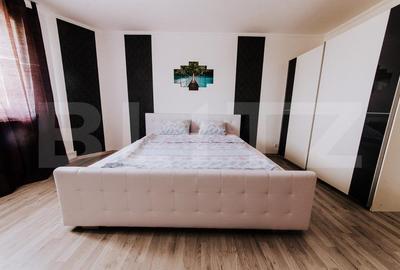 Ocazie, Vila-Pensiune in zona Mehala - 4