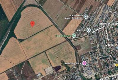 Spațiu comercial, în Mogoșoaia - 2