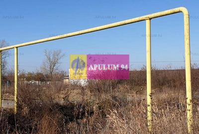 Teren construcție casă - 1 Decembrie - Zona Metropolitană București Teren construcție casă - 1 Decembrie - Zona Metropolitană București - 7