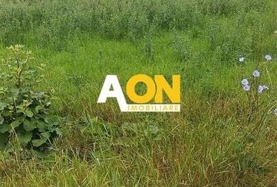 Teren pentru P+2 Alba-Micesti 3636 mp - 2