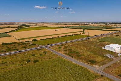 Spatii comerciale de inchiriat in noua Galerie Senso Lake - Dumbravita - 19