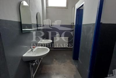 Spațiu industrial, în Iris - 2