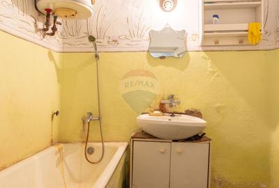 Casa de vanzare, in localitatea Turnu, fara comision - 16