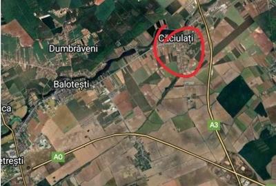 Spațiu comercial, în Căciulați - 2