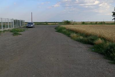 Teren de 12000 mp, în Țintești - 10