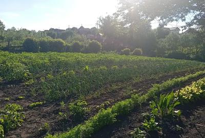 Casa in Nou 14 km de Sibiu Casa in Nou 14 km de Sibiu - 5