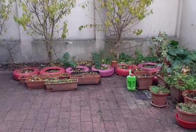 Apartament cu 2 camere decomandat, mobilat în Bucureștii Noi - 10