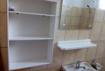 Inchiriez garsoniera termen lung Turnisor - 8