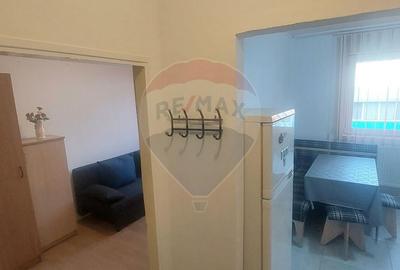 Apartament 1 camere de inchiriat in zona Buziasului - 4