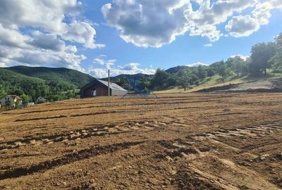 Teren Construcții intravilan de 706 mp, în Cisnădioara - 6