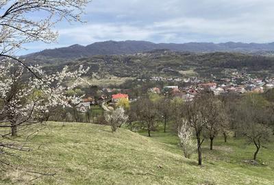 Teren de 22000 mp, în Corbi - 1