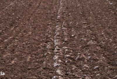 Spațiu comercial, în Banat