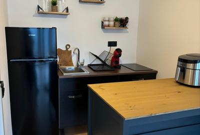 VANZARE CABANA INDIVIDUALA - 10