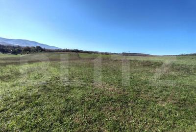 Teren intravilan de vanzare - 2