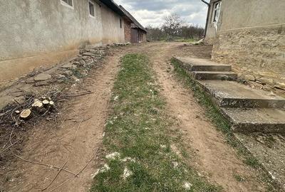 Casă cu 3 camere cu Teren 10000 Mp în Central - 3