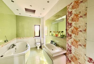 Duplex 14 camere Pantelimon Cernica 864 mp desfasurati - 33