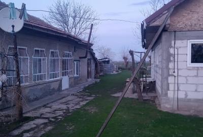 Casă cu teren 2272 mp - Vasilati, Calărași, put, curent, asfalt - 2