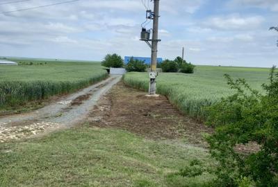 Casă cu 5 camere în Corbu - 7