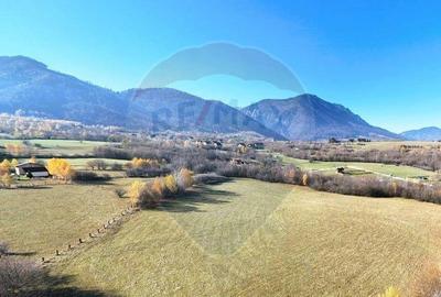 Teren de 650 mp, în Tohănița - 5