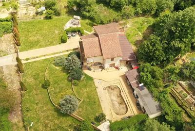 Casă cu Teren 2595 Mp în Calea Caransebeșului - 13