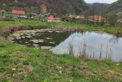 Teren agricol intravilan de 4719 mp, în Bulz - 2