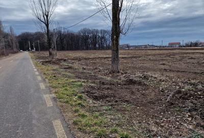 Teren Construcții intravilan de 12800 mp, în Ciolpani - 3