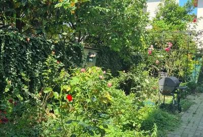 Iancului , Vatra Luminoasa - 4