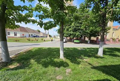 Casa Cenad, centru, langa biserica catolica - 2