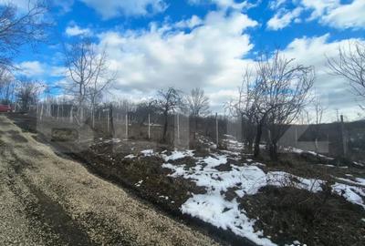 Teren în Păulești - 5