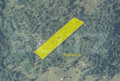 Teren 11.144 mp - Campulug Moldovenesc - 2