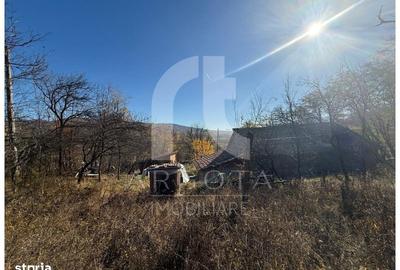 Teren de 3250 mp, în Cozieni - 2