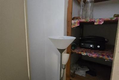 Apartament 1 camere. Alexandru Minerva - 7