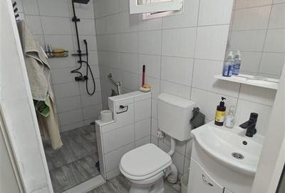 RECO Casa de vanzare Ineu - 19