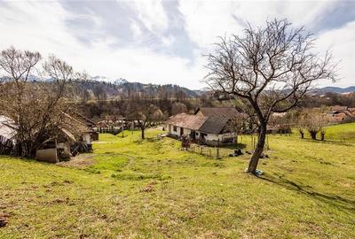 FILM! Pe 6.500mp teren + casa parinteasca, incantatoare pozitionare, acces facil - 6