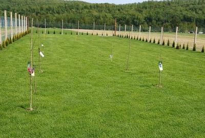 Spațiu comercial, în Central - 1