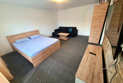 Garasoniera spatioasa 9 min M Muncii - 5