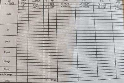 Spațiu comercial, în Central