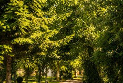 Casă individuală cu 5 camere cu Canalizare în Buciumeni - 10