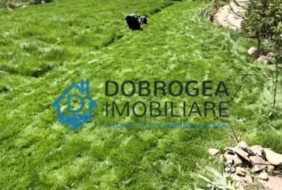 Vila Mineri, D+P+1, teren 1600 mp - 2