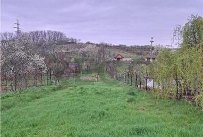 Apartament cu 3 camere , decomandat , cu 2160 mp teren intra - 8