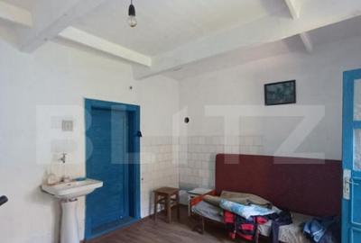 Casa renovabila, 3 camere, 1400 mp teren, in Mihai Viteazu - 23